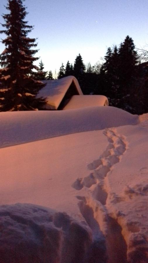 Chalet Camomille لي جيه المظهر الخارجي الصورة